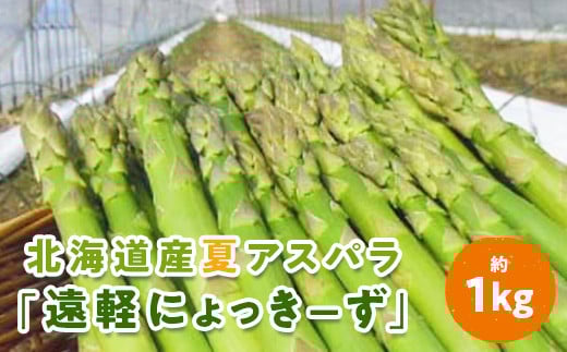 2026幎å€ã¢ã¹ãã©1kg ( ãµãããšçŽçš ã¢ã¹ãã©ã¬ã¹ ã°ãªãŒã³ã¢ã¹ãã© éè å¥åº·é£æ 倩ã·ã çãç© ãã¹ã¿ ãµã©ã 倧容é åæµ·é é è»œçº ãããã蟲æ¥ååçµå ) en01-00006