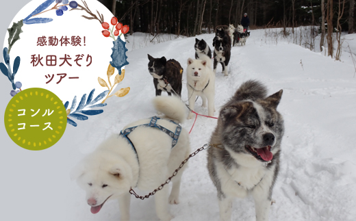 遘狗伐迥ャ縺ョ迥ャ縺槭jen01-00208