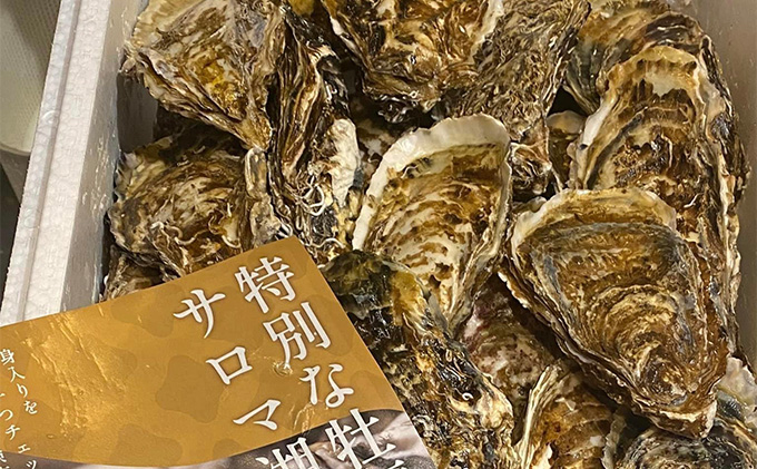 蜈郁。御コ育エ 蛹玲オキ驕 繧ェ繝帙シ繝繧ッ 繧オ繝ュ繝樊ケ也肇 谿サ莉倥″ 繧ォ繧ュ 逕滄」溷庄 1.5kg 迚。陟」閨キ莠コ蜴ウ驕ク 迚。陟」 蝗ス逕」 雋昜サ倥″ 鬲夊イ晞。 逕溽横陟」 繝弱Ο繧ヲ繧、繝ォ繧ケ讀懈渊螳滓命 豬キ縺ョ繝溘Ν繧ッ 豬キ魄ョ 豬キ縺ョ蟷ク 縺、縺セ縺ソ 譎ゥ驟 縺企偵ョ縺ゅ※