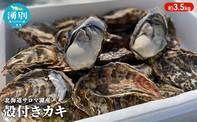 【国内消費拡大求む】先行予約 北海道 サロマ湖産 カキ 約3.5kg 牡蠣 かき 海鮮 魚介 国産 殻付き 貝付き 生牡蠣 生食 焼き牡蠣 蒸し牡蠣 冷蔵 産地直送 オホーツク 魚貝類