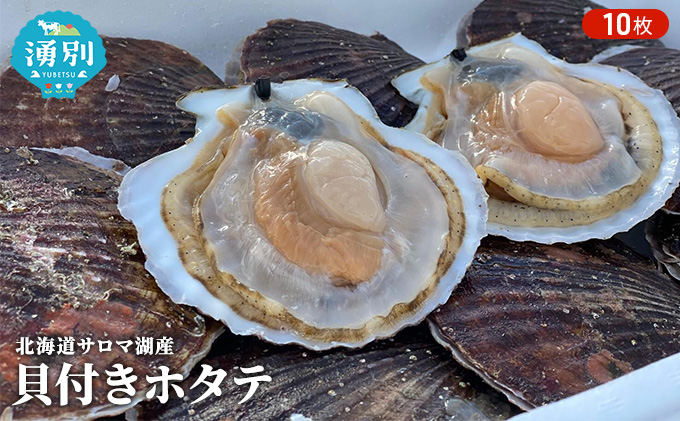 【国内消費拡大求む】先行予約 北海道 サロマ湖産　貝付き ホタテ 10枚 帆立 ほたて 刺身 海鮮 魚介 国産 殻付き 冷蔵 オホーツク 魚貝類 貝付きホタテ 魚介類