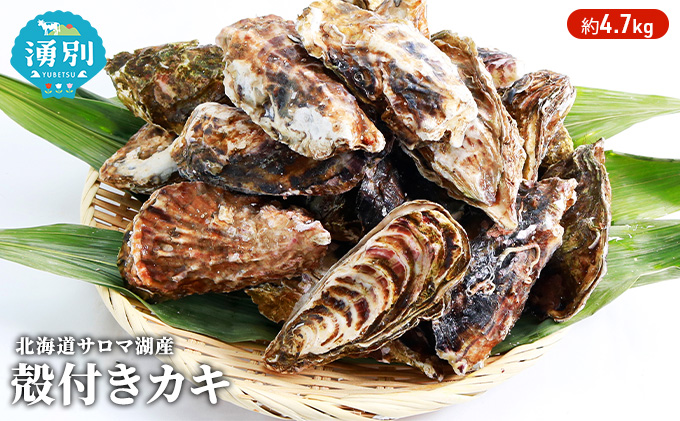 北海道 サロマ湖産 カキ 約4.7kg 牡蠣 海鮮 魚介 国産 殻付き 貝付き 生食 焼き牡蠣 蒸し牡蠣 冷蔵 産地直送 オホーツク 魚貝類 生牡蠣 かき 殻付きカキ