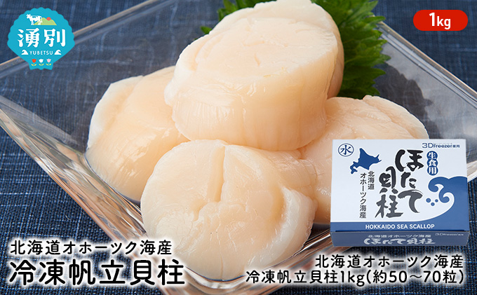 北海道 オホーツク海産 冷凍 帆立 貝柱 1kg ほたて ホタテ 刺身 玉冷 海鮮 魚介 国産 サロマ湖 魚貝類 