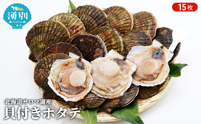 【国内消費拡大求む】先行予約 北海道 サロマ湖産　貝付き ホタテ 15枚 帆立 ほたて 刺身 海鮮 魚介 国産 殻付き 冷蔵 オホーツク 魚貝類 貝付きホタテ