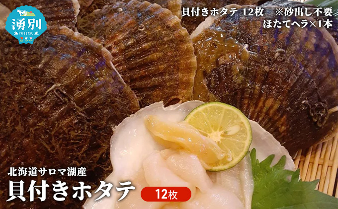 北海道 サロマ湖産 貝付き ホタテ 12枚 【日時指定不可】 帆立 ほたて 国産 殻付き 冷蔵 魚貝類 海鮮 美味しいアミノ酸 甘み 旨味 凝縮 ぷりぷり 新鮮 幸せ フライ 刺身