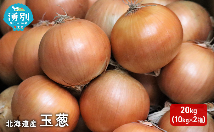北海道産 玉葱 20kg （10kg×2箱） [ たまねぎ 玉ねぎ 国産 産地直送 オホーツク 野菜 常備野菜 ]