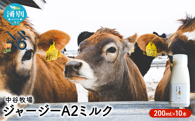 中谷牧場 ジャージー A2ミルク 200ml×10本 ジャージー牛 やさしい 国産 オホーツク北海道 牛乳北海道産 ジャージー牛乳 飲み物 朝食 生乳 牧場のミルク 牧場の牛乳 こども