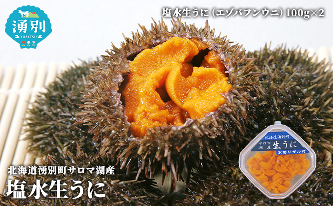 先行予約 2024年4月から配送北海道 湧別町 塩水 生うに 100g×2 ウニ エゾバフンウニ 魚貝類 雲丹 サロマ湖産 とろける 旨味 パスタ つまみ 