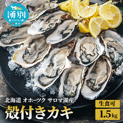 先行予約 北海道 オホーツク サロマ湖産 殻付き カキ 生食可 1.5kg 牡蠣職人厳選 牡蠣 国産 貝付き 魚貝類 生牡蠣 ノロウイルス検査実施 海のミルク 海鮮 海の幸 つまみ 晩酌 お酒のあて