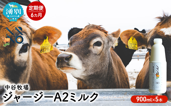 【6カ月定期便】中谷牧場 ジャージー A2ミルク 900ml×5本 ジャージー牛 やさしい 国産 オホーツク北海道 牛乳北海道産 ジャージー牛乳 飲み物 朝食 生乳 牧場のミルク 牧場の牛乳 こども