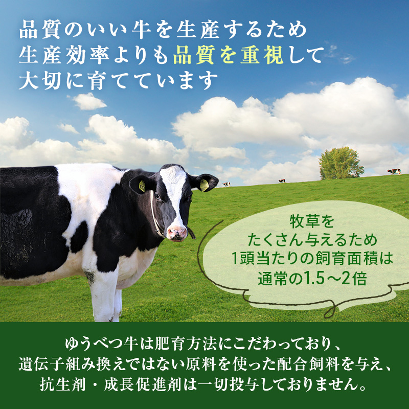 北海道産 ゆうべつ牛 ステーキ・焼き肉セット B 約800g 赤身 牛肉 冷凍 湧別牛 冷凍 国産 遺伝子 オホーツク お肉 焼肉 バーベキュー 