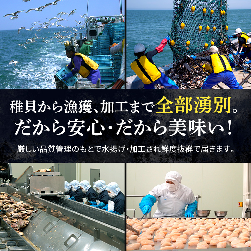 【最短当日発送】北海道オホーツク 湧別沖 ほたて 玉冷小分け パック 1.8kg（300g×6P）【 ホタテ 帆立 ほたて スタンドパック 海鮮 刺身 貝 貝柱 魚介 魚介類 冷凍 北海道 湧別町 】