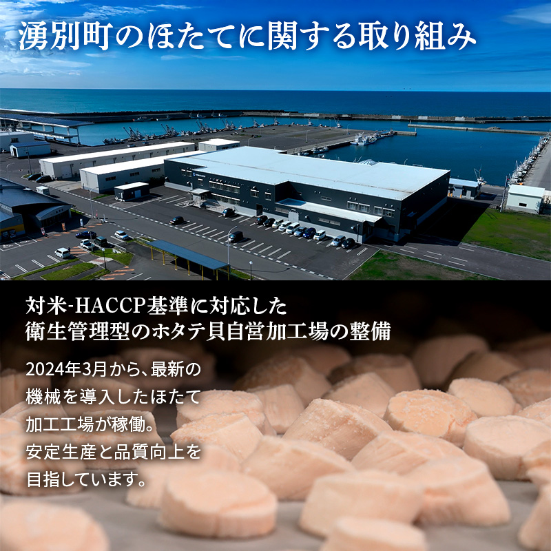 【最短当日発送】北海道オホーツク 湧別沖 ほたて 玉冷小分け パック  1.2kg（300g×4P）【 ホタテ 帆立 ほたて スタンドパック 海鮮 刺身 貝 貝柱 魚介 魚介類 冷凍 北海道 湧別町 】