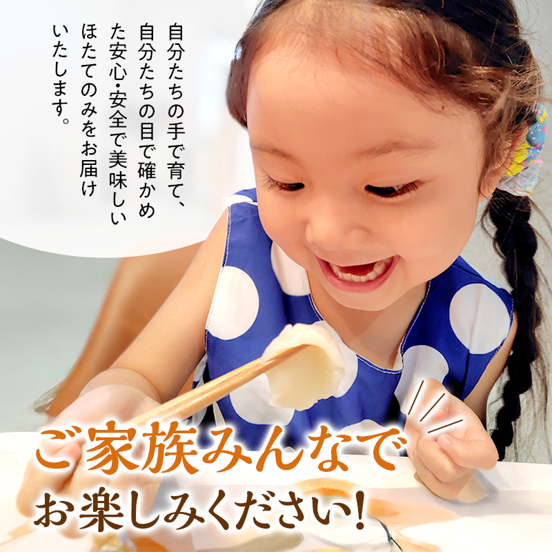 3ヵ月連続お届け 定期便 訳あり 北海道 オホーツク産 冷凍 ほたて 貝柱 2kg（1kg×2箱）ホタテ ランキング 海鮮 刺身 冷凍ふるさと納税 帆立 ふるさと 規格外 ホタテ貝柱