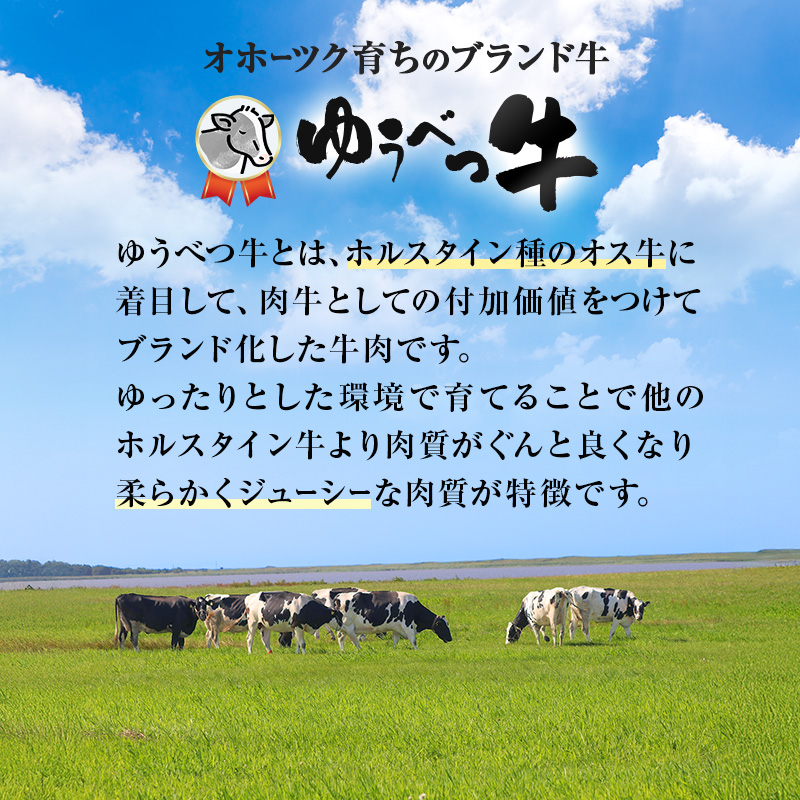 北海道産 ゆうべつ牛 ステーキ・焼き肉セット B 約800g 赤身 牛肉 冷凍 湧別牛 冷凍 国産 遺伝子 オホーツク お肉 焼肉 バーベキュー 