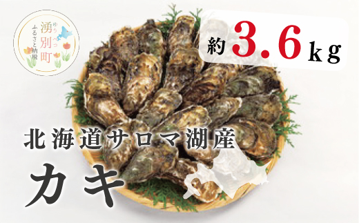 【国内消費拡大求む】北海道サロマ湖産　カキ約3.6kg