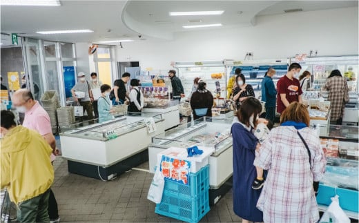 【国内消費拡大求む】北海道サロマ湖産 龍宮牡蠣10kg（2年物殻付きカキ）カキナイフ付