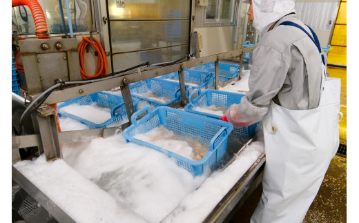 【国内消費拡大求む】オホーツク海産　冷凍ほたて貝柱１kg