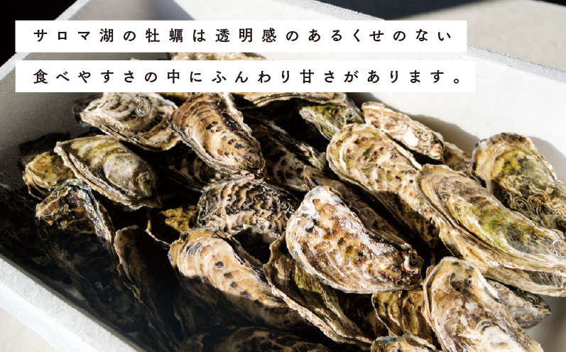 【国内消費拡大求む】北海道サロマ湖産　殻付きかき（生食用）5.8kg