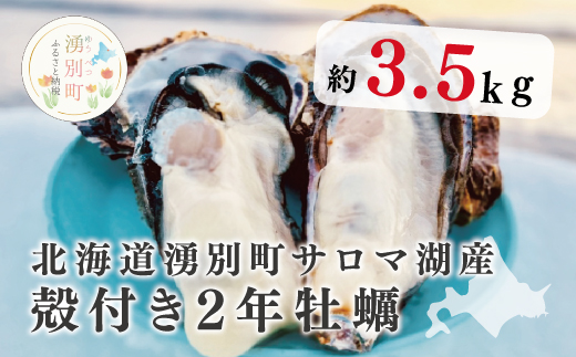 【国内消費拡大求む】北海道湧別町サロマ湖産　殻付き2年牡蠣3.5kg（約27〜35個入）