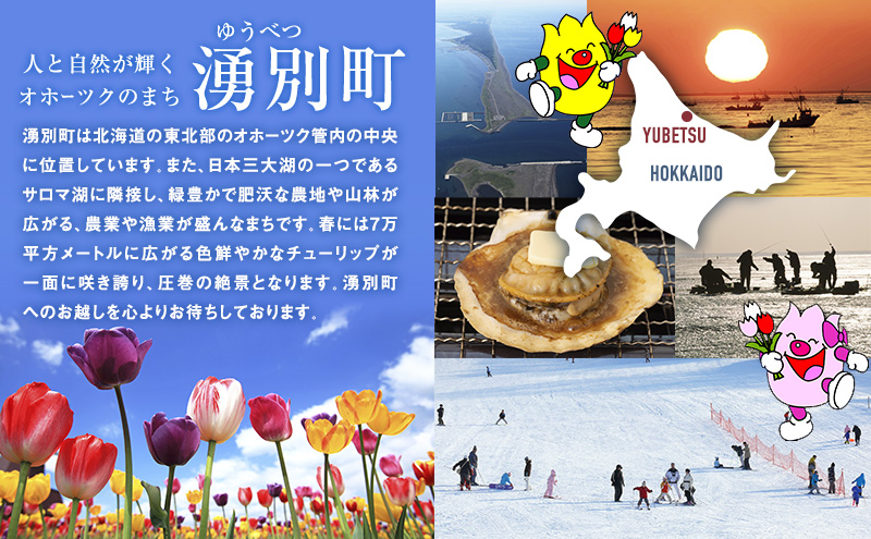 北海道湧別町　寄附のみの応援受付　1,000円コース（返礼品なし　寄附のみ　1,000円）