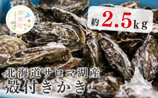 【国内消費拡大求む】北海道サロマ湖産殻付きかき2.5kg