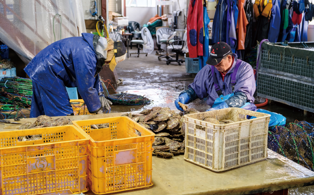 【国内消費拡大求む】北海道サロマ湖産　貝付きホタテ12枚