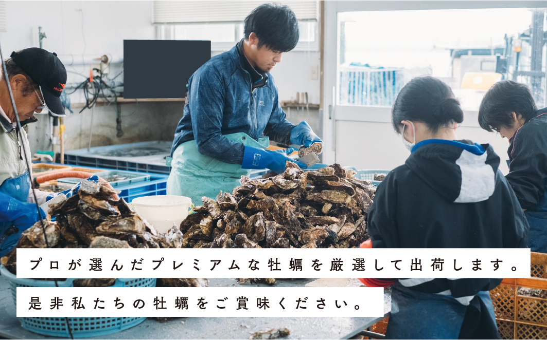 【国内消費拡大求む】≪先行予約11月中旬から発送≫北海道湧別町サロマ湖産　殻付き牡蠣2.5㎏