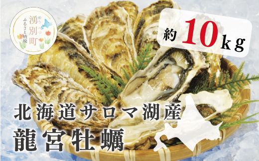 【国内消費拡大求む】≪2024年1月から発送≫北海道サロマ湖産 龍宮牡蠣10kg（2年物殻付きカキ）カキナイフ付