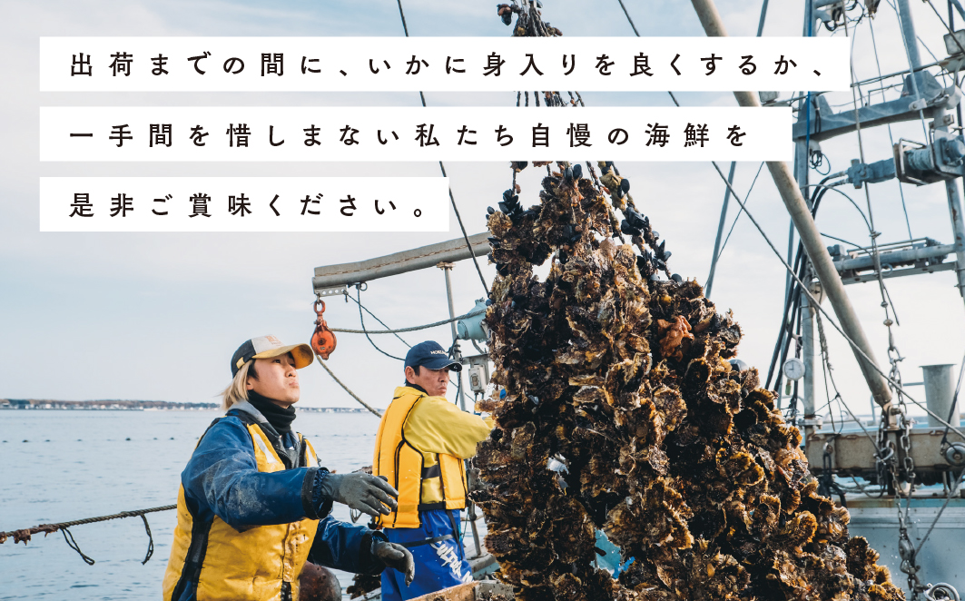 【国内消費拡大求む】<先行予約2024年11月から発送>北海道サロマ湖産　カキ約3.6kg