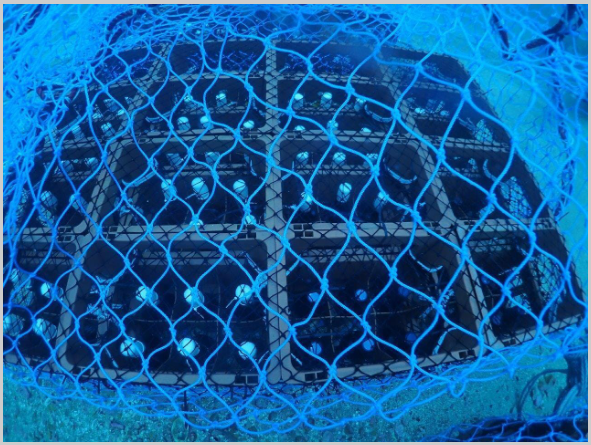 ãæ°ééå®ïŒãæ¹§å¥çºãµããæ¹æµ·æŽçææ¥æ¬é
ãæ¹§å¥ã720mlã1æ¬ãæµ·åºé
ãçæã16床ãåœç£ãåæµ·é