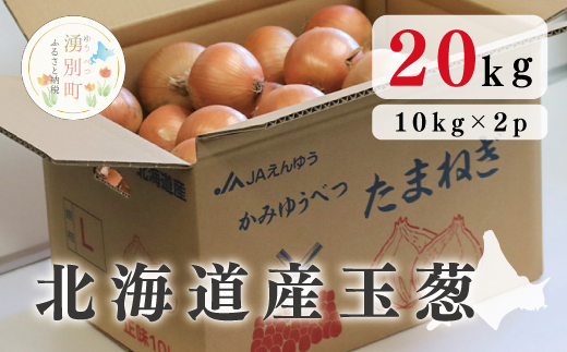 北海道産玉葱20kg !（10kg×2箱）