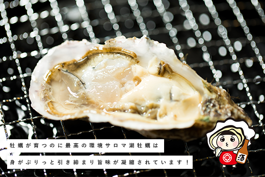 【国内消費拡大求む】≪先行予約2024年11月から発送≫ 北海道 サロマ湖産 冷凍 殻付き牡蠣 13kg  (2年物) 加熱用