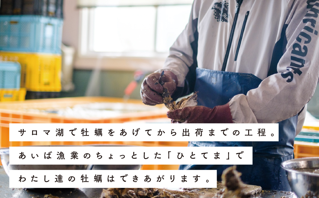 【国内消費拡大求む】北海道サロマ湖産　殻付きかき（生食用）3.3kg
