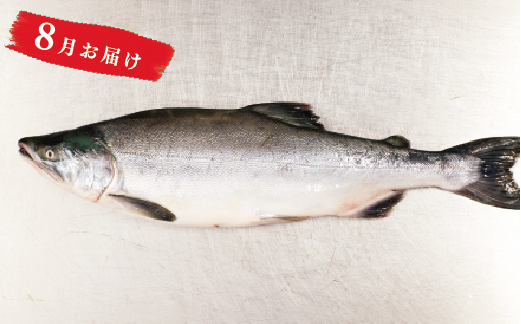 【国内消費拡大求む】北海道オホーツク湧別産　旬の魚介類　定期便Ａ
