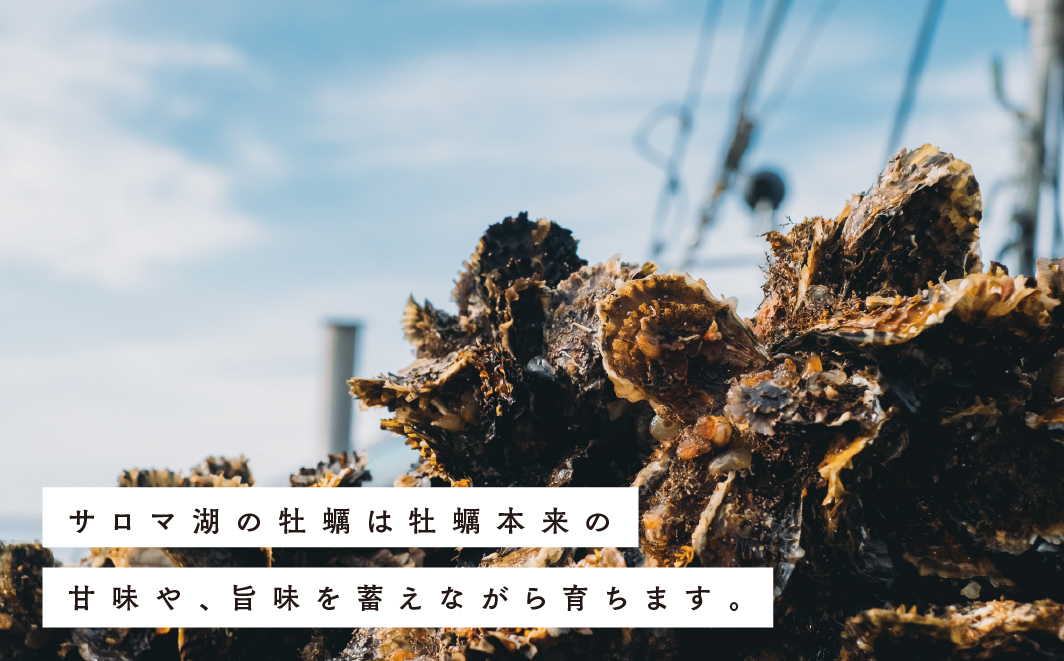 【国内消費拡大求む】北海道サロマ湖産　貝付きホタテ6枚・カキ約2kg
