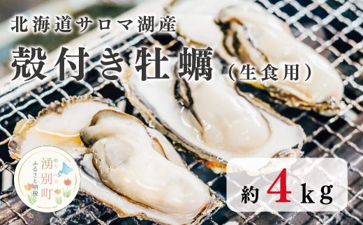 国内消費拡大求む】北海道 サロマ湖産 殻付き牡蠣 約4kg 生食用|JAL