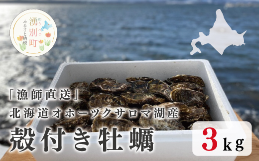 【国内消費拡大求む】『漁師直送』北海道オホーツクサロマ湖産牡蠣殻付き3キロ