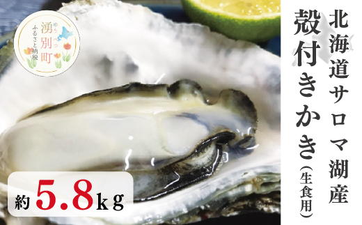 【国内消費拡大求む】北海道サロマ湖産　殻付きかき（生食用）5.8kg