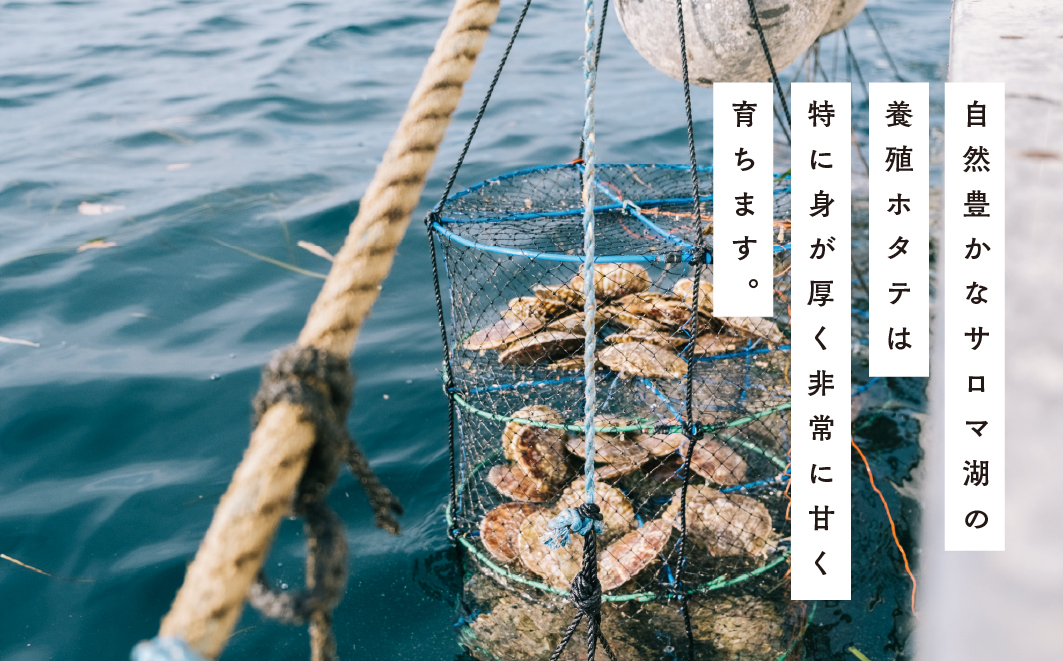 【国内消費拡大求む】北海道サロマ湖産　貝付きホタテ12枚・カキ約3kg