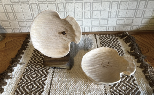 木芸作家たまさんが造る ホタテの形の木のお皿