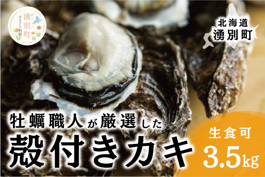 <先行予約2025年11月中旬から発送>牡蠣職人が厳選した殻付きカキ 3.5kg（生食可）牡蠣　かき　カキ　海鮮　魚介　国産　殻付き　冷蔵　焼き牡蠣　蒸し牡蠣　産地直送　生牡蠣　生食　サロマ湖　オホーツク　北海道　湧別町