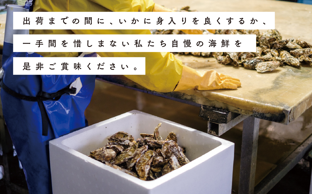 【国内消費拡大求む】<先行予約2024年11月から発送>北海道サロマ湖産　貝付きホタテ12枚・カキ約3kg