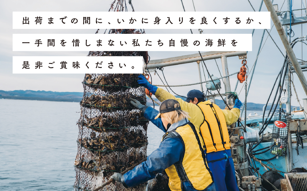 【国内消費拡大求む】北海道サロマ湖産　貝付きホタテ18枚