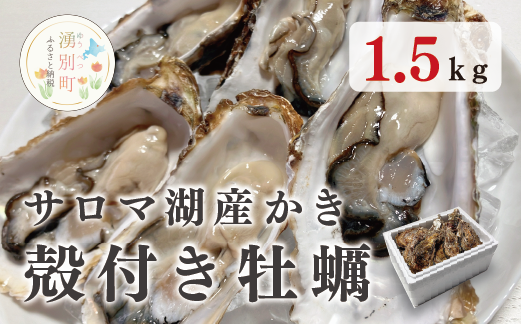 湧別町サロマ湖産殻付きカキ1.5kg　牡蠣 海鮮 魚介 国産 貝付き 生牡蠣 生食 焼き牡蠣 蒸し牡蠣