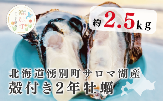 【国内消費拡大求む】≪先行予約11月中旬から発送≫北海道湧別町サロマ湖産　殻付き牡蠣2.5㎏