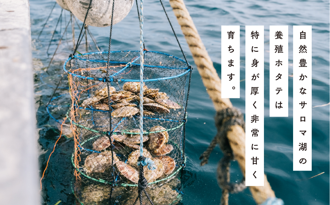 【国内消費拡大求む】北海道サロマ湖産　貝付きホタテ12枚
