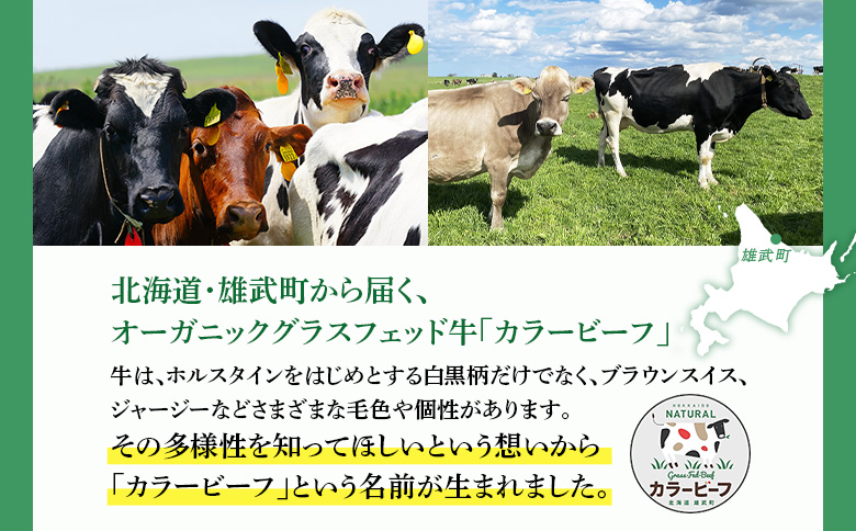 北海道雄武町産　きくっち有機チーズ5個セット（ナチュラル3個・スモーク2個） | チーズ 有機チーズ ナチュラルチーズ スモークチーズ チーズセット 詰め合わせ オーガニック JAS 有機JAS カラービーフ グラスフェッド 牧場 おつまみ お取り寄せ 北海道 雄武町 雄武【01122】