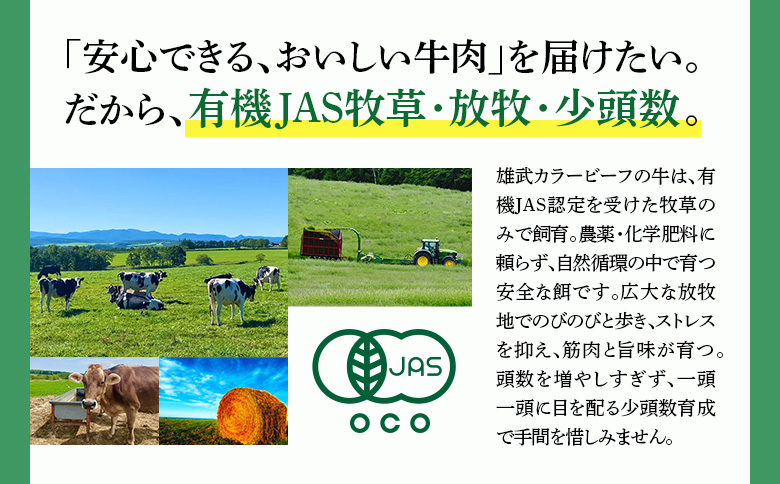 雄武産有機牛カラービーフ サーロイン（150g×2P） | 牛肉 有機牛 オーガニック グラスフェッド カラービーフ 有機JAS認定 サーロイン ステーキ 赤身が多い 旨み 牧草 放牧 安心 安全 脂肪控えめ 低脂肪 自然 オホーツク 有機牧草 環境に優しい 美容 健康 オメガ3脂肪酸 必須アミノ酸 トリプトファン さっぱり 牧草飼育牛 放牧牛 オーガニック牧草 雄武町観光協会 菊地牧場 お取り寄せ 北海道 雄武町 雄武【01127】