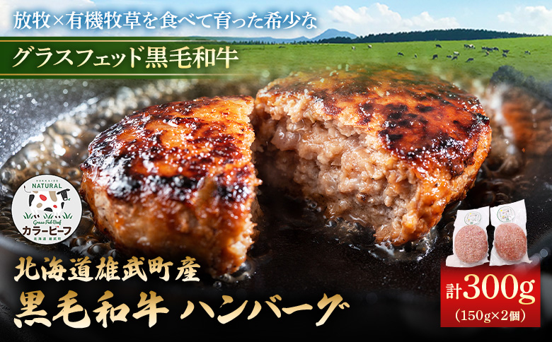 【カラービーフ】黒毛和牛ハンバーグ（150gｘ2個） | 牛肉 黒毛和牛 和牛 有機牛 有機JAS オーガニック グラスフェッド カラービーフ ハンバーグ 150g 2個 計300g 計4個 赤身多め 赤身 肉 旨み 牧草 放牧 自然 安心 安全 脂肪控えめ 脂肪少なめ 上質 軽やか 味わい あっさり 牧草飼育牛 オホーツク海沿岸 お取り寄せ 北海道 雄武町 雄武【01131】